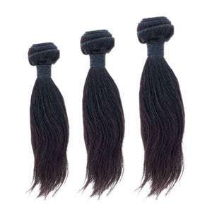 Malaysian Silky Straight Bundle Deals - Two-One-Fifth Co.